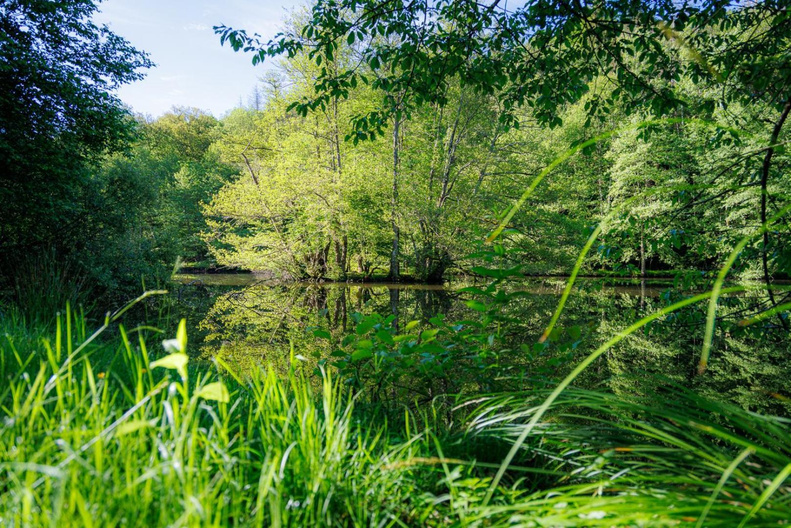 Moulin De Retord, Cote Etang - Chambres D'Hotes Perassay Eksteriør billede