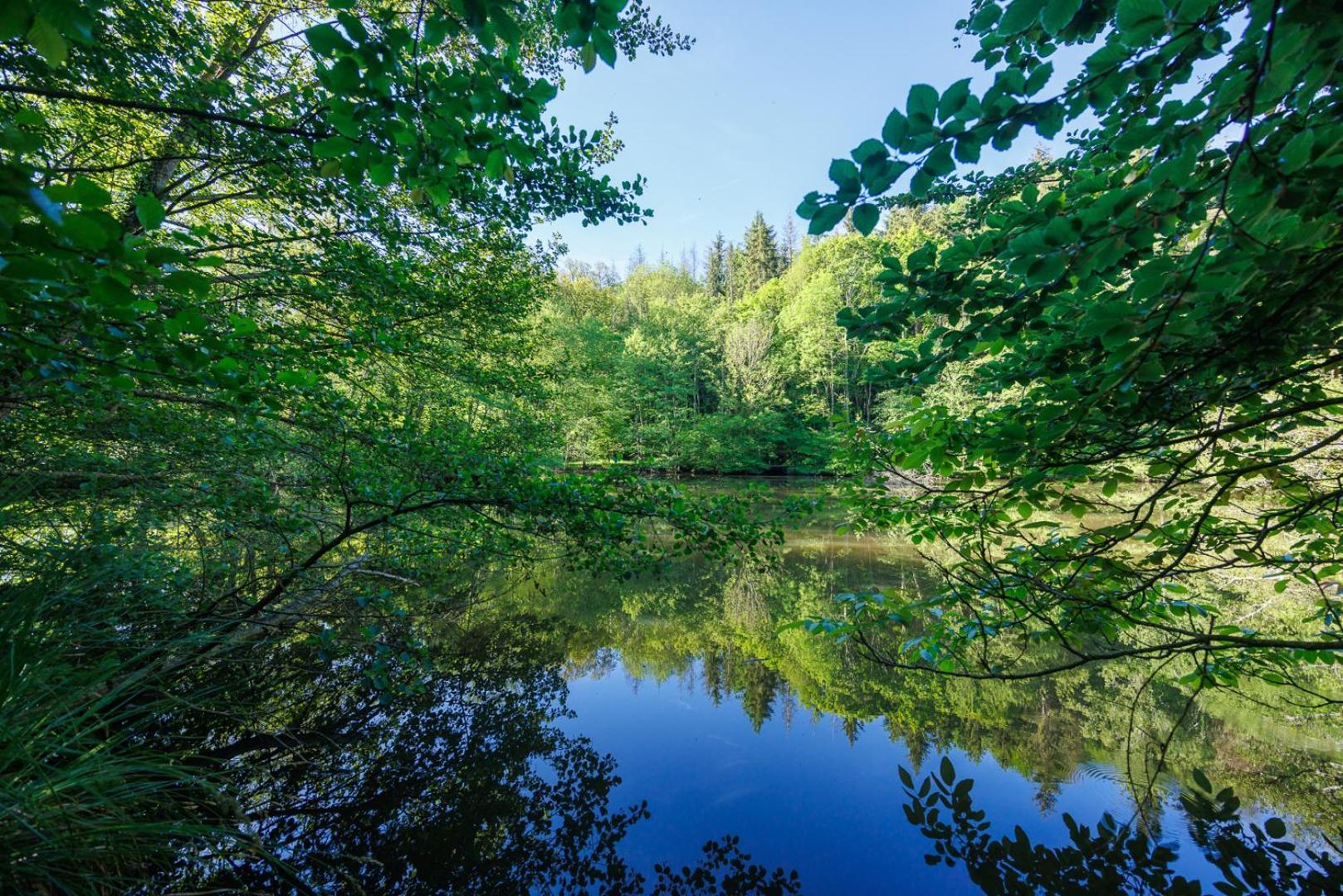 Moulin De Retord, Cote Etang - Chambres D'Hotes Perassay Eksteriør billede